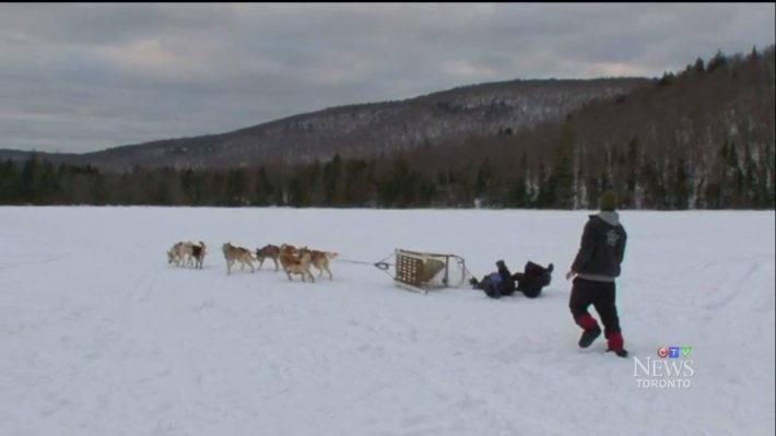 expédition à chiens de traîneaux enfants malades du cancer  Association Sourire à la Vie